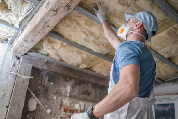 Best Insulation for Specific Applications in Gower, MO