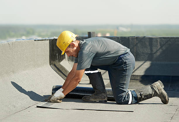 Best Specialty Insulation in Gower, MO